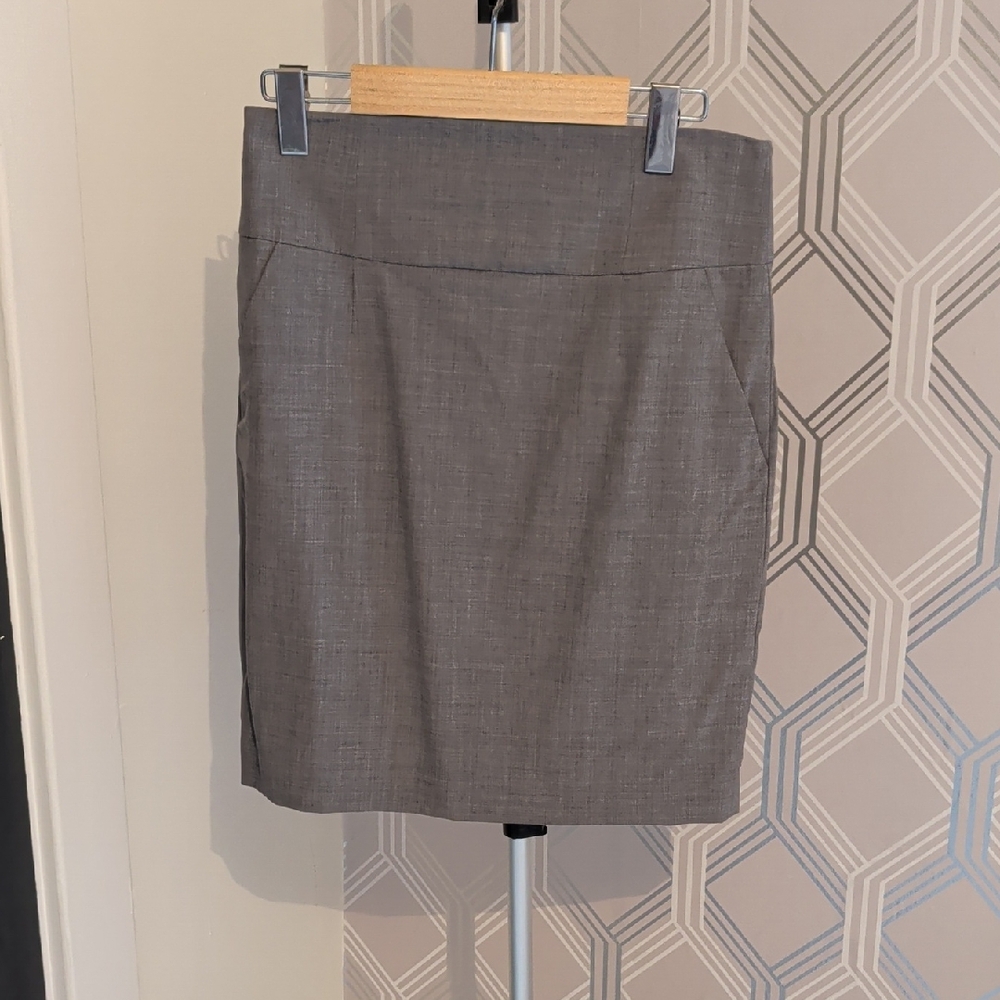 Elegant Gray Women's Skirt